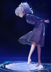 Rule 34 | 1girl, arms behind back, ass, barefoot, brown eyes, club3, darker than black, dress, from side, full body, highres, ponytail, ripples, silver hair, smile, solo, standing, water, yin (darker than black)