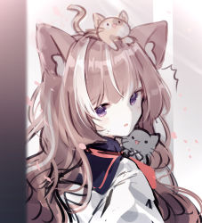 Rule 34 | 1girl, ^^^, animal, animal ear fluff, animal ears, animal on head, black sailor collar, blush, brown hair, cat, cat ears, commentary request, from behind, highres, long hair, looking at viewer, looking back, miyu (miy u1308), multicolored hair, on head, original, parted lips, purple eyes, sailor collar, shirt, sketch, solo, streaked hair, sweat, upper body, white hair, white shirt