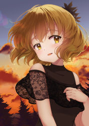 Rule 34 | 1girl, aki shizuha, alternate costume, bare shoulders, black shirt, blonde hair, blush, cloud, cloudy sky, commentary, gradient sky, grey sky, hair ornament, hand on own chest, highres, iris anemone, lace, leaf hair ornament, light particles, looking at viewer, medium hair, nature, open mouth, orange sky, raised eyebrows, shirt, sky, sleeveless, sleeveless shirt, solo, touhou, tree, upper body, yellow eyes