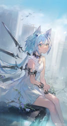 Rule 34 | 1girl, absurdres, animal ears, arknights, bare shoulders, blue sky, breasts, cat ears, cat girl, detached wings, dress, earpiece, feet out of frame, green eyes, grey hair, highres, long hair, mechanical wings, outdoors, parted lips, ponytail, rosmontis (arknights), rosmontis (become anew) (arknights), sitting, sky, small breasts, solo, weibo logo, weibo watermark, white dress, wings, zxy (xinxinxyz)