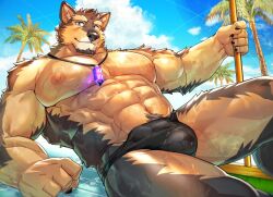 Rule 34 | 1boy, abs, animal ears, bara, blue sky, broom, claws, cloud, cloudy sky, commentary request, dog boy, dog ears, furry, furry male, gem, holding, holding broom, jewelry, live a hero, looking at viewer, male focus, necklace, okusu (oaks16), on floor, palm tree, pectorals, pubraseer (live a hero), sky, smile, swimsuit, topless male, tree, wet