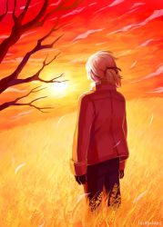Rule 34 | 1boy, allen walker, artist name, black gloves, d.gray-man, from behind, gloves, grass, hair ribbon, highres, jacket, lostgalaxy8, male focus, ribbon, short ponytail, signature, solo, sun, sunset, tree, white hair