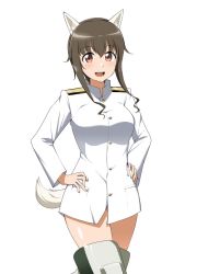 Rule 34 | 1girl, animal ears, barkhorn0331, blush, brown hair, crossed legs, dog ears, dog tail, hands on own hips, no pants, panties, panty peek, sidelocks, smile, solo, striker unit, tail, underwear, white background, white uniform, world witches series