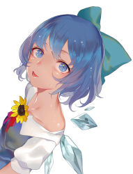 Rule 34 | 1girl, blue dress, blue eyes, blue hair, bow, cirno, collarbone, dress, flower, from above, hair bow, hidden star in four seasons, ice, ice wings, looking at viewer, looking up, off shoulder, perspective, reeh (yukuri130), shiny skin, short hair, simple background, solo, sweat, tan, tanned cirno, tongue, tongue out, touhou, upper body, wet, wet hair, white background, wings