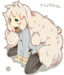 Rule 34 | 1girl, ahoge, alpaca-san, animal ears, blue eyes, blush, character name, coat, eyebrows, long hair, long sleeves, ofly (ofly252), open mouth, original, pantyhose, simple background, sitting, solo, tears, very long hair, wariza, white background, winter clothes