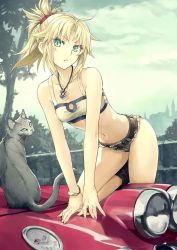 Rule 34 | 1girl, artist request, belt, blonde hair, bracelet, breasts, car, cat, collarbone, crop top, denim, duplicate, fate (series), green eyes, jeans, jewelry, legs, looking at viewer, midriff, mordred (fate), motor vehicle, navel, necklace, pants, ponytail, scrunchie, short shorts, shorts, tagme, thighs