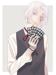 Rule 34 | 13isaco, 1boy, allen walker, bad id, bad pixiv id, card, d.gray-man, facial mark, grey background, grin, hair between eyes, hair intakes, head tilt, highres, holding, holding card, long sleeves, looking at viewer, male focus, neck ribbon, purple eyes, red ribbon, ribbon, shirt, silver hair, smile, solo, striped ribbon, two-tone background, upper body, vest, white background, white shirt