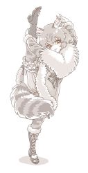 Rule 34 | animal ear fluff, animal ears, animal print, boots, cat ears, cat girl, cat print, cat tail, coat, commentary request, fictional persona, frilled shorts, frills, full body, fur collar, fur trim, grey footwear, grey fur, grey hair, grey jacket, highres, jacket, kemono friends, long sleeves, mitsumoto jouji, multicolored hair, norwegian forest cat (kemono friends) (mitsumoto jouji), orange hair, original, pantyhose, print pantyhose, short hair, shorts, solo, split, standing, standing on one leg, standing split, tail, white fur, winter clothes, winter coat