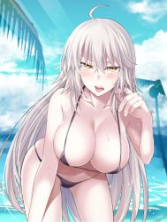 Rule 34 | 1girl, absurdres, ahoge, bare arms, bare shoulders, bikini, black bikini, blue sky, blush, branch, breasts, cleavage, cloud, collarbone, day, fate/grand order, fate (series), fingernails, grey hair, hair between eyes, hand up, highres, ijima yuu, jeanne d&#039;arc alter (avenger) (fate), jeanne d&#039;arc alter (fate), large breasts, leaf, leaning forward, light rays, long hair, looking at viewer, micro bikini, navel, ocean, open mouth, outdoors, pale skin, sidelocks, sky, solo, standing, stomach, strap gap, string bikini, summer, sunlight, sweat, swimsuit, teeth, tongue, tongue out, tsurime, upper teeth only, very long hair, yellow eyes