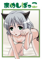 Rule 34 | 00s, 1girl, absurdres, animal ears, bra, flat chest, green eyes, highres, lingerie, panties, paw pose, sanya v. litvyak, short hair, silver hair, solo, strike witches, taku-tama, underwear, underwear only, world witches series