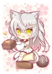 Rule 34 | 1girl, ahoge, animal ear fluff, animal ears, bandaged leg, bandages, blush, cat ears, cat tail, chibi, commentary, crop top, detached sleeves, fang, floral background, food, food request, hair between eyes, hair ornament, hairclip, holding, holding food, jewelry, kuro (sakura moyu), long hair, looking at viewer, necklace, open mouth, pleated skirt, ryuuka sane, sakura moyu, sidelocks, sitting on food, skin fang, skirt, solo, tail, white hair, white skirt, white sleeves, yellow eyes