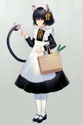 Rule 34 | 1girl, achiki, animal, animal ears, apron, bad id, bad twitter id, basket, black dress, black footwear, cat ears, cat girl, cat tail, collared dress, commentary, dress, full body, grey background, holding, holding with tail, long sleeves, maid, maid apron, maid headdress, mary janes, mouse (animal), neck ribbon, original, pantyhose, pleated dress, prehensile tail, ribbon, shoes, simple background, solo, standing, symbol-only commentary, tail, tail raised, white apron, white pantyhose, yellow ribbon