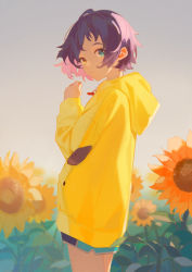 Rule 34 | 1girl, absurdres, ahoge, blue eyes, blue hair, blue shorts, closed mouth, commentary, cowboy shot, field, flower, flower field, from side, hand up, heterochromia, highres, hood, hood down, hooded sweater, hoodie, long sleeves, looking at viewer, looking to the side, ooto ai, outdoors, sannye, short hair, short shorts, shorts, solo, standing, sunflower, sunflower field, sweater, wonder egg priority, yellow eyes, yellow hoodie, yellow sweater