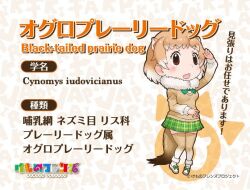 Rule 34 | 1girl, animal ears, black-tailed prairie dog (kemono friends), extra ears, kemono friends, looking at viewer, official art, simple background, solo, tail, yoshizaki mine