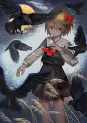 Rule 34 | 1girl, absurdres, animal, ascot, bare legs, bird, black skirt, black vest, blonde hair, blush, bow, closed mouth, commentary, crow, eyebrows hidden by hair, feathered wings, feet out of frame, frown, full moon, hair between eyes, hair bow, hand up, henginnnnnn, highres, long sleeves, looking at viewer, moon, night, night sky, open hand, outstretched arm, plant, red ascot, red bow, red eyes, rumia, shirt, short hair, skirt, sky, solo, touhou, vest, wheat, white shirt, wings