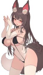 Rule 34 | 1girl, absurdres, animal ears, blush, bridal gauntlets, brown eyes, brown hair, choker, contrapposto, corset, covered navel, elbow gloves, gloves, highres, leaning forward, long hair, original, parted lips, simple background, skindentation, slingshot swimsuit, swimsuit, tail, thighhighs, white thighhighs, zerocat