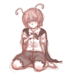 Rule 34 | 1girl, antennae, barefoot, blush, cape, feet, full body, hand on own chest, kuro suto sukii, looking at viewer, puffy sleeves, shirt, short sleeves, shorts, simple background, sitting, sketch, smile, solo, toes, touhou, white background, wriggle nightbug