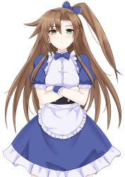 Rule 34 | 1girl, alternate costume, apron, armband, breasts, brown hair, collar, crossed arms, cuffs, dress, enmaided, frills, frown, green eyes, hair between eyes, hair ornament, haughty, highres, if (neptunia), judgey, long hair, looking at viewer, maid, neptune (series), paid reward available, ponytail, puffy sleeves, ribbon, side tail, sidetail, simple background, skirt, small breasts, solo, uniform, unimpressed, white background, zatsu