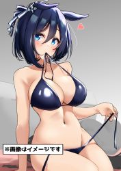 Rule 34 | 1girl, animal ears, bare arms, bare shoulders, bikini, bikini in mouth, black bikini, blue eyes, blue hair, breasts, clothes in mouth, commentary request, eishin flash (umamusume), groin, hair between eyes, heart, highres, horse ears, komb, large breasts, looking at viewer, mouth hold, short hair, solo, swimsuit, thighs, translation request, umamusume, untied bikini