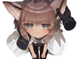 Rule 34 | 1girl, ahoge, animal ear fluff, animal ears, arknights, black jacket, black pants, blue eyes, blush, brown gloves, brown hair, closed mouth, coat, commentary, cross, disembodied hand, dokomon, face, fox ears, fox girl, from above, gloves, hand on another&#039;s face, hand on another&#039;s head, highres, jacket, looking at viewer, looking up, pants, pov, pov hands, red cross, sidelocks, sussurro (arknights), symbol-only commentary, white coat, zipper