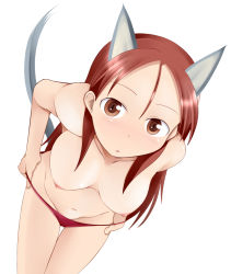 Rule 34 | 1girl, animal ears, breasts, brown eyes, long hair, looking at viewer, medium breasts, minna-dietlinde wilcke, nipples, panties, red hair, simple background, solo, strike witches, tail, tanaka rikimaru, topless, underwear, undressing, world witches series