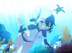 Rule 34 | 1girl, absurdres, ahoge, artist request, bikini, bikini bottom only, black footwear, blue archive, blue bikini, blue eyes, blue hair, blush, breasts, closed mouth, coral reef, cropped jacket, dark blue hair, diving, diving mask, flippers, goggles, halo, highres, holding breath, jacket, large breasts, long sleeves, looking at viewer, medium hair, multicolored clothes, multicolored jacket, navel, non-web source, official alternate costume, official art, raglan sleeves, rash guard, saki (blue archive), saki (swimsuit) (blue archive), salute, snorkel, solo, swimsuit, turtle, two-tone jacket, underwater