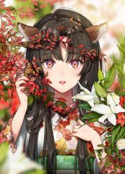Rule 34 | 1girl, animal ears, bad id, bad pixiv id, black hair, blurry, branch, bud, depth of field, floral print, flower, food, fruit, hands up, iro 178, japanese clothes, kimono, lily (flower), lipstick, long sleeves, looking at viewer, makeup, multicolored eyes, nail polish, new year, obi, original, parted lips, purple eyes, red flower, red nails, sash, upper body, white flower, yellow eyes