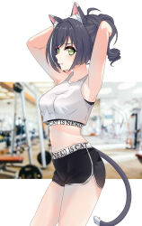 Rule 34 | 1girl, absurdres, adjusting hair, animal ear fluff, animal ears, armpits, arms up, bare arms, black hair, black sports bra, cat ears, cat girl, cat tail, fang, from side, green eyes, gym shorts, highres, karyl (princess connect!), looking at viewer, maxwelzy, midriff, multicolored hair, presenting armpit, princess connect!, short shorts, shorts, sleeveless, solo, sports bra, sportswear, streaked hair, tail, tank top, white tank top