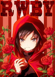 Rule 34 | 1girl, apple, copyright name, flower, food, frown, fruit, looking at viewer, moai (moai world), rose, ruby rose, rwby, solo