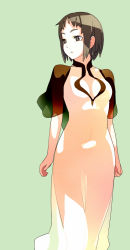 Rule 34 | 1girl, breasts, brown eyes, brown hair, cleavage, cleavage cutout, clothing cutout, dress, highres, ico, large breasts, long dress, see-through, see-through silhouette, shihou (g-o-s), short hair, solo, yorda