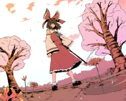 Rule 34 | 1girl, ascot, bobby socks, bow, brown hair, cherry blossoms, detached sleeves, female focus, flower, from below, hair bow, hakurei reimu, highres, japanese clothes, miko, perspective, puddle, sky, socks, solo, spider lily, standing, touhou, tree, yokohachi