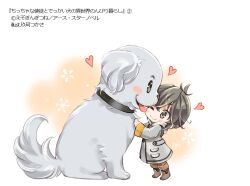 Rule 34 | 1boy, animal, blush stickers, boots, brown background, brown footwear, brown pants, copyright request, dog, from side, grey eyes, grey hair, grey jacket, hair between eyes, heart, jacket, kuga tsukasa, male focus, official art, oversized animal, pants, solo, standing, translation request, two-tone background, white background
