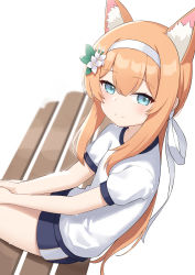 Rule 34 | 1girl, animal ear fluff, animal ears, black shorts, blue archive, blue eyes, blush, brown hair, closed mouth, commentary request, flower, from side, gym shirt, gym shorts, gym uniform, hair between eyes, hair flower, hair ornament, hairband, heijialan, highres, looking at viewer, looking to the side, mari (blue archive), mari (track) (blue archive), on bench, puffy short sleeves, puffy sleeves, shirt, short shorts, short sleeves, shorts, simple background, sitting, smile, solo, sweat, white background, white flower, white hairband, white shirt