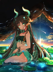 Rule 34 | 1girl, bad id, bad pixiv id, bare arms, bare shoulders, blue flower, breasts, brown hair, chigiri kurenai, commentary request, dress, flower, green dress, green eyes, green hair, highres, horns, lily pad, long hair, looking at viewer, medium breasts, ocean, original, pointy ears, sky, sleeveless, sleeveless dress, solo, star (sky), starry sky, strapless, strapless dress, sunset, very long hair, wading