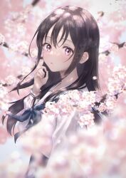 Rule 34 | 1girl, absurdres, black hair, blue neckerchief, blurry, blurry foreground, blush, cherry blossoms, depth of field, falling petals, highres, isshokuitaru, long hair, long sleeves, looking at viewer, neckerchief, open mouth, original, petals, pink eyes, shirt, solo, very long hair, white shirt