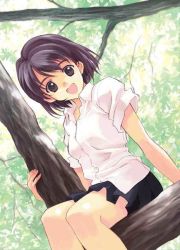 Rule 34 | 1girl, black hair, blouse, in tree, matsumoto noriyuki, nature, shirt, short hair, sitting, sitting in tree, solo, tree, white shirt