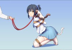 Rule 34 | 1girl, animal, animal on shoulder, arched back, arms behind back, bdsm, black hair, blouse, blue background, blue skirt, bondage, bound, cat, cat on shoulder, cat tail, collar, gradient background, hair ornament, haori haruki, himitsu (hi mi tsu 2), kneeling, leash, light smile, long sleeves, looking at another, original, out of frame, parted lips, pleated skirt, ponytail, restrained, rope, shibari, shibari over clothes, shirt, sidelocks, skirt, solo focus, star (symbol), star hair ornament, tail, thighhighs, white shirt, white thighhighs, yellow eyes