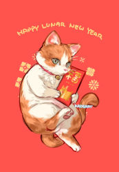 Rule 34 | animal, animal focus, artist name, bell, blue eyes, cat, closed mouth, collar, happy new year, holding, hongbao, kadeart, looking at viewer, neck bell, new year, no humans, original, red background, red collar, simple background, tabby cat, thai commentary, toes