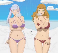 Rule 34 | 2girls, absurdres, arm under breasts, bare shoulders, bikini, black clover, blush, breasts, breath, cleavage, cloud, cloudy sky, cold, earrings, green eyes, grey hair, highres, jewelry, large breasts, long hair, mimosa vermillion, mufifa, multiple girls, navel, noelle silva, open mouth, orange hair, purple eyes, sky, smile, snow, snowman, standing, swimsuit, trembling, twintails