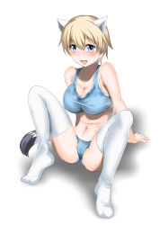 Rule 34 | 10s, 1girl, animal ears, blonde hair, blue bra, blue eyes, blue panties, blush, bra, brave witches, breasts, covered erect nipples, large breasts, navel, nikka edvardine katajainen, panties, smile, solo, sports bra, steed (steed enterprise), strike witches, sweat, tail, thighhighs, underwear, weasel ears, weasel tail, world witches series