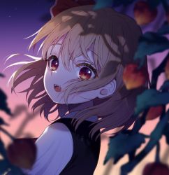 Rule 34 | 1girl, blonde hair, blurry, blurry foreground, gradient sky, looking at viewer, multicolored sky, open mouth, plant, red eyes, rumia, short hair, sky, solo, teeth, touhou, touya (konpekitou), upper body