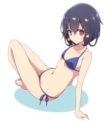 Rule 34 | 1girl, arm support, barefoot, bikini, black hair, blue bikini, blush, breasts, closed mouth, commentary, flower, from behind, frown, full body, hair flower, hair ornament, highres, leaning back, looking at viewer, looking back, mel (melty pot), mizuno ai, navel, red eyes, short hair, side-tie bikini bottom, simple background, sitting, small breasts, solo, string bikini, sweatdrop, swimsuit, white background, zombie land saga