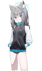 Rule 34 | 1girl, absurdres, animal ear fluff, animal ears, aqua eyes, black buruma, blue archive, blush, breasts, buruma, closed mouth, commentary, cross hair ornament, hair ornament, halo, hands in pockets, highres, jacket, long sleeves, looking at viewer, mismatched pupils, shiroko (blue archive), simple background, small breasts, solo, useq1067, white background, zipper pull tab