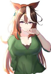 Rule 34 | 1girl, animal ears, bespectacled, bracelet, breasts, brown hair, cleavage, closed mouth, commentary request, earrings, glasses, green shirt, hair between eyes, highres, horse ears, horse girl, jewelry, large breasts, long hair, looking at viewer, mmm (mmm623), multicolored hair, official alternate costume, purple eyes, semi-rimless eyewear, shirt, simple background, single earring, smile, solo, streaked hair, symboli rudolf (umamusume), umamusume, very long hair, white background, white hair