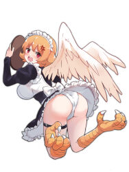 Rule 34 | 1girl, angry, apron, ass, breasts, claws, dress, feathered wings, harpy, highres, holding, holding tray, ishuzoku reviewers, kkkula (kula), large breasts, maid, maid headdress, meidri, monster girl, open mouth, orange hair, panties, simple background, solo, talons, tray, underwear, white background, white panties, wings