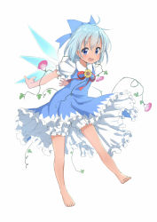 Rule 34 | 1girl, barefoot, bloomers, blue bow, blue dress, blue eyes, blue hair, blush, bow, cirno, commentary request, crossed bangs, dress, fang, flower, frilled dress, frills, hair bow, hidden star in four seasons, highres, ice, ice wings, looking at viewer, open mouth, puffy short sleeves, puffy sleeves, sekira ame, short hair, short sleeves, simple background, smile, solo, sunflower, tan, tanned cirno, touhou, underwear, white background, white bloomers, wings