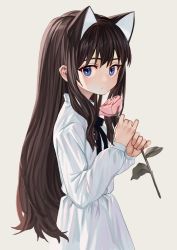 Rule 34 | 1girl, animal ears, blue eyes, brown hair, cat ears, dress, elisia valfelto, extra ears, flower, highres, holding, holding flower, long hair, long sleeves, looking at viewer, luicent, original, rose, sidelocks, simple background, solo, white dress