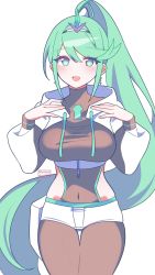 Rule 34 | 1girl, alternate costume, breasts, chest jewel, earrings, green eyes, green hair, highres, jewelry, kotohatoko510, large breasts, long hair, pneuma (xenoblade), ponytail, simple background, solo, swept bangs, very long hair, white background, xenoblade chronicles (series), xenoblade chronicles 2