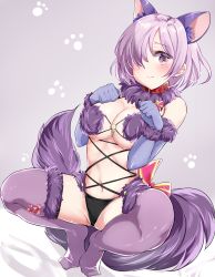 Rule 34 | 1girl, animal ears, blush, claw pose, claws, cosplay, craft essence (fate), elbow gloves, eyes visible through hair, fate/grand order, fate (series), fur-trimmed gloves, fur-trimmed legwear, fur collar, fur trim, gloves, hair over one eye, halloween, halloween costume, hamaken. (novelize), highres, lace, lace-trimmed legwear, lace trim, looking at viewer, mash kyrielight, mash kyrielight (dangerous beast), mash kyrielight (dangerous beast) (cosplay), o-ring, o-ring top, official alternate costume, pink hair, purple eyes, purple gloves, purple hair, purple thighhighs, revealing clothes, short hair, solo, spread legs, squatting, tail, thighhighs, thighs, wolf ears, wolf tail