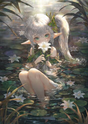 Rule 34 | 1girl, detached sleeves, dress, eyelashes, flower, full body, genshin impact, gradient hair, green eyes, green hair, hair between eyes, hair ornament, head tilt, highres, holding, holding flower, kim eul bong, legs together, lily pad, long hair, looking at viewer, multicolored hair, nahida (genshin impact), partially submerged, pointy ears, ripples, sitting, solo, symbol-shaped pupils, two-tone hair, water, white dress, white hair